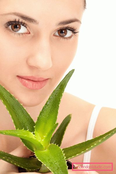 maschere per capelli con senape contro la caduta