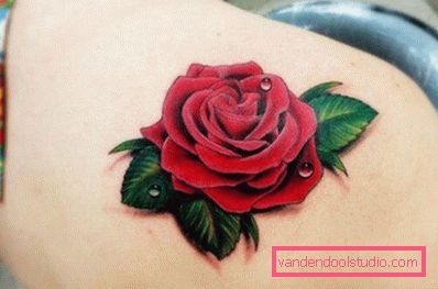 scarlatto 3 d rose scarlatto 3 d rose