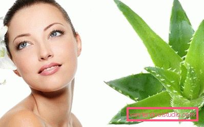 Aloe Vera per la pelle Aloe Vera per la pelle