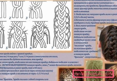 schema dettagliato di creazione schema dettagliato di creazione