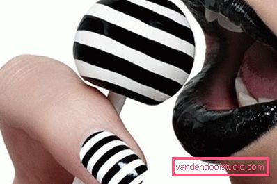 zebra orizzontale zebra orizzontale