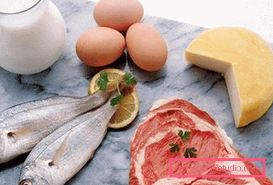 cibo proteico cibo proteico