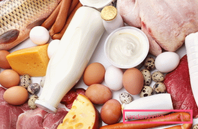 cibo ad alto contenuto proteico cibo ad alto contenuto proteico