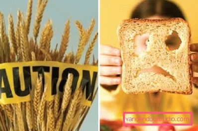 i cereali sono proibiti i cereali sono proibiti