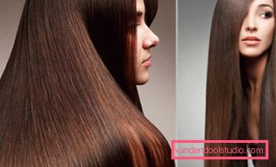 Capelli castani lucenti con una chioma liscia Capelli castani lucenti con una chioma liscia