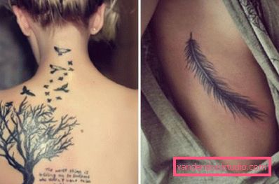 disegnando con uccelli e alberi e piume