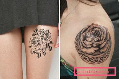 rose meravigliosamente riempite