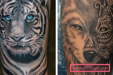 Tigre e lupo a portata di mano Tigre e lupo a portata di mano