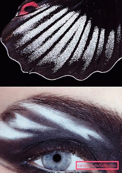 trucco zebrato trucco zebrato