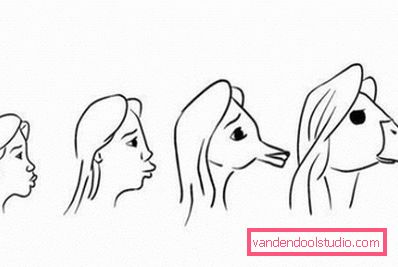 evoluzione evoluzione