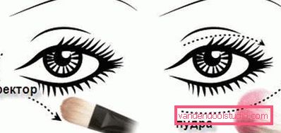 creando una base per il trucco creando una base per il trucco