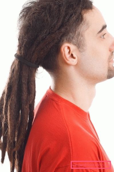 Acconciature da uomo lunghe con i dreadlocks Tagli e tagli di capelli lunghi da uomo