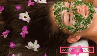 maschera idratante alle erbe maschera idratante alle erbe