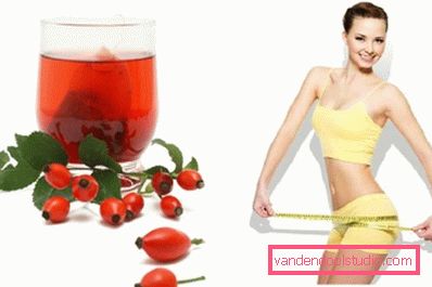dalla rosa canina dalla rosa canina