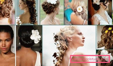 ragazze con splendide acconciature ragazze con splendide acconciature