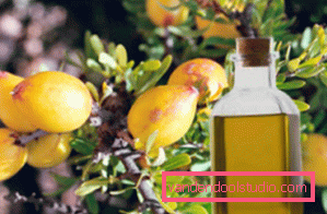 Olio per capelli all'argan Usiamo con vantaggio l'olio di argan per capelli