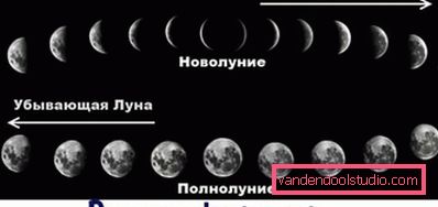 Come usare i tagli di capelli del calendario lunare