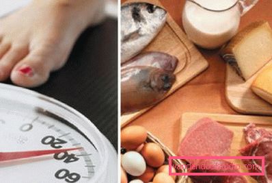 pesatura e cibo proteico pesatura e cibo proteico