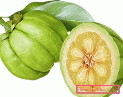 frutto di garcinia cambogia frutto di garcinia cambogia