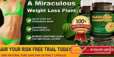 frutta cambogiana per perdita di peso frutta cambogiana per perdita di peso