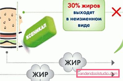 azione significa azione significa