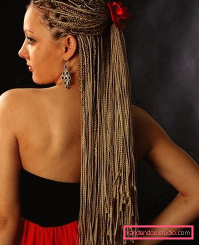 Capelli Zizi Pigtail zizi - come intrecciare