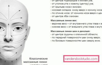 linee di massaggio viso e collo linee di massaggio viso e collo
