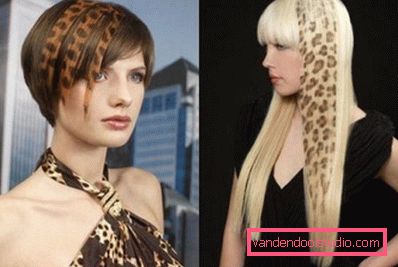 stencil colorazione con stampa leopardo stencil colorazione con stampa leopardo