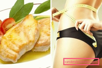 piatto di pollo e il risultato della dieta piatto di pollo e il risultato della dieta