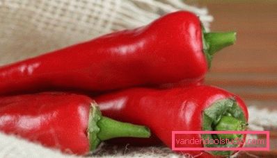 peperoncino peperoncino