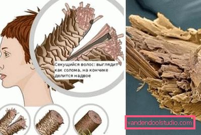 capelli divisi capelli divisi