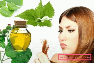 ortica e aloe ortica e aloe