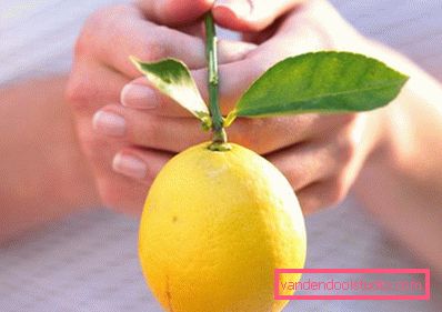 limone in mano limone in mano