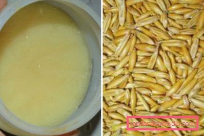 Estratto di avena Estratto di avena