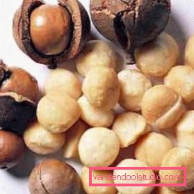 Olio di macadamia per capelli