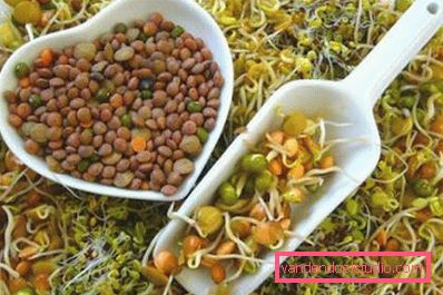 germe di grano germe di grano