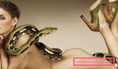 rilassamento del serpente rilassamento del serpente