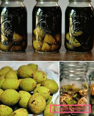 decotto di noci decotto di noci