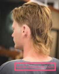 Taglio di capelli per maschi e femmine
