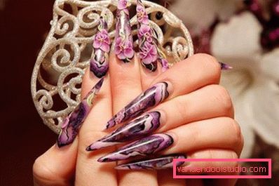 bel design con fiori viola bel design con fiori viola