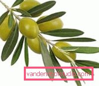 Olio d'oliva per capelli belli