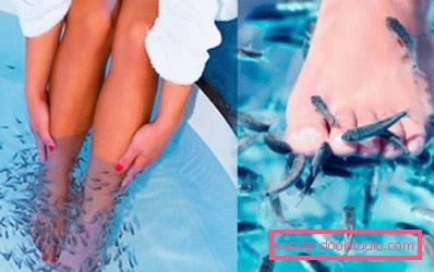 scrub ai piedi di pesce scrub ai piedi di pesce