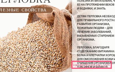proprietà utili di orzo proprietà utili di orzo