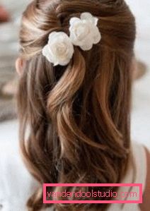 Acconciatura per una ragazza in giardino per 5 minuti facile bello Acconciature per ragazze in giardino in 5 minuti