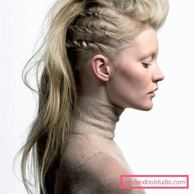 Acconciature vichinghe - foto