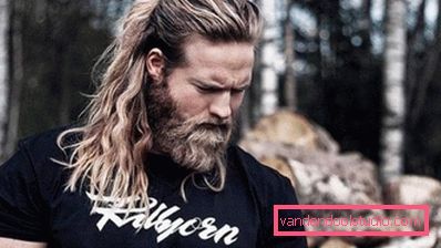 Acconciature vichinghe - foto