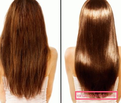 Felicità per i capelli di Lebel - una procedura professionale per il recupero
