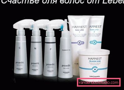 Felicità per i capelli di Lebel - una procedura professionale per il recupero