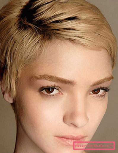 Varietà e styling tagli di capelli francesi