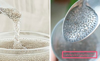 gel di chia gel di chia